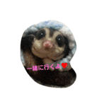 愉快なフクモモズ（個別スタンプ：12）