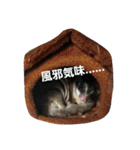 愉快なフクモモズ（個別スタンプ：14）