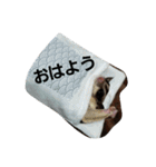 愉快なフクモモズ（個別スタンプ：15）