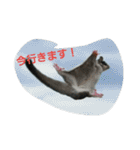 愉快なフクモモズ（個別スタンプ：18）
