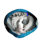 愉快なフクモモズ（個別スタンプ：21）