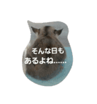 愉快なフクモモズ（個別スタンプ：25）