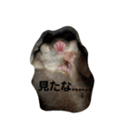 愉快なフクモモズ（個別スタンプ：32）