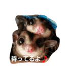 愉快なフクモモズ（個別スタンプ：36）
