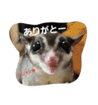 愉快なフクモモズ（個別スタンプ：38）