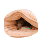 気まぐれロンちゃん（個別スタンプ：7）