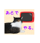 ポポとマルコ（個別スタンプ：9）