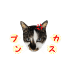 ポポとマルコ（個別スタンプ：13）
