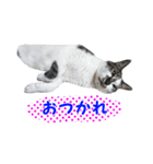 ポポとマルコ（個別スタンプ：26）