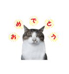 ポポとマルコ（個別スタンプ：29）