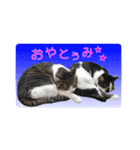ポポとマルコ（個別スタンプ：32）