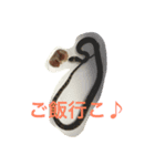 コーンスネーク（個別スタンプ：6）