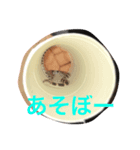 コーンスネーク（個別スタンプ：8）