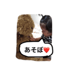 楓くん（個別スタンプ：8）