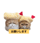 MOCO＆LAKI＆NOAH（個別スタンプ：2）