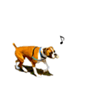ボクサー犬 かんきち（個別スタンプ：11）