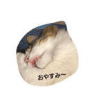 翼の時間（個別スタンプ：3）