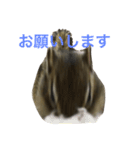 しまりす菜那のひととき6（個別スタンプ：14）