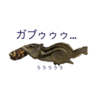 しまりす菜那のひととき6（個別スタンプ：16）