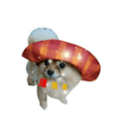 DOGGIE LIFE（個別スタンプ：2）