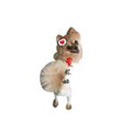DOGGIE LIFE（個別スタンプ：6）