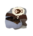 もにちゃんのいる生活（個別スタンプ：3）