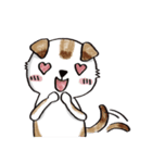 color dog daily life（個別スタンプ：1）
