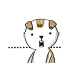 color dog daily life（個別スタンプ：2）