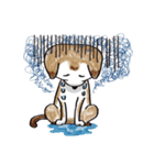 color dog daily life（個別スタンプ：5）