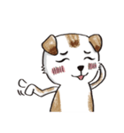 color dog daily life（個別スタンプ：7）