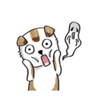 color dog daily life（個別スタンプ：13）