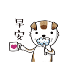color dog daily life（個別スタンプ：15）