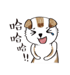color dog daily life（個別スタンプ：17）