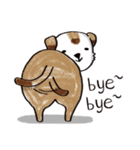 color dog daily life（個別スタンプ：18）