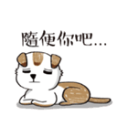 color dog daily life（個別スタンプ：20）