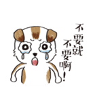 color dog daily life（個別スタンプ：22）