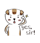 color dog daily life（個別スタンプ：24）