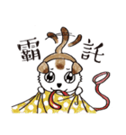 color dog daily life（個別スタンプ：25）