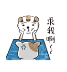 color dog daily life（個別スタンプ：26）