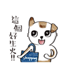 color dog daily life（個別スタンプ：29）