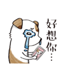 color dog daily life（個別スタンプ：30）