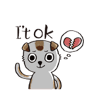 color dog daily life（個別スタンプ：31）