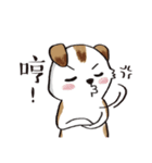 color dog daily life（個別スタンプ：33）