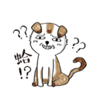 color dog daily life（個別スタンプ：34）