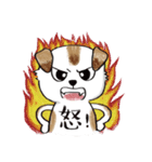 color dog daily life（個別スタンプ：35）