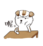 color dog daily life（個別スタンプ：37）