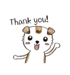 color dog daily life（個別スタンプ：38）