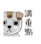 color dog daily life（個別スタンプ：40）
