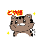 もふっねこ2（個別スタンプ：20）