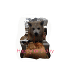柴犬ギンの独り言（個別スタンプ：30）